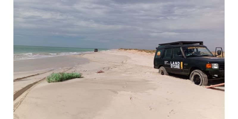 Oryginał czy zamiennik? 