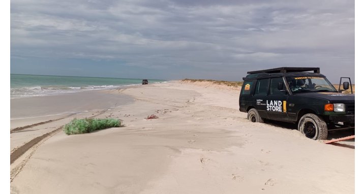 Oryginał czy zamiennik?