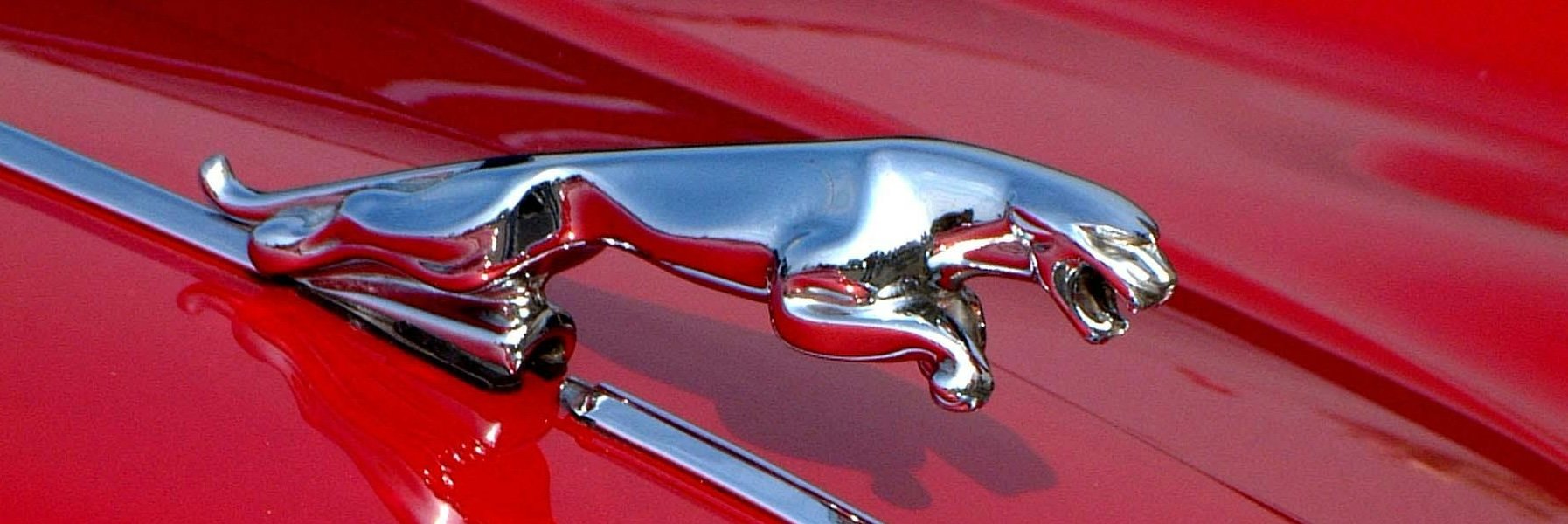 Jaguar - części i akcesoria Jaguar - części i akcesoria