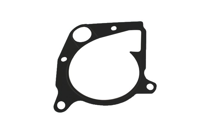 Uszczelka pompy wody TD4 Freelander / 3,0 diesel RR L322