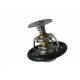 Termostat Defender / Discovery / RR 200 TDI