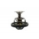 Termostat Defender / Discovery / RR 300 TDI
