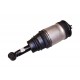Amortyzator tył (z poduszką) RR Sport diesel 2,7/3,0 / benzyna 4,2/4,4/5,0 V8 (bez ACE, bez RSC, bez Adaptive Damping)
