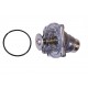 Termostat (kpl. z obudową) RR L322 4,4 M62 V8