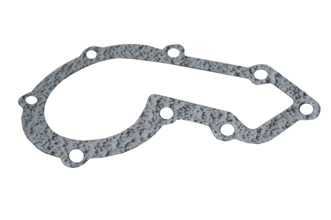 Uszczelka pompy wody 300 TDI