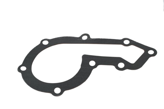 Uszczelka pompy wody 300 TDI