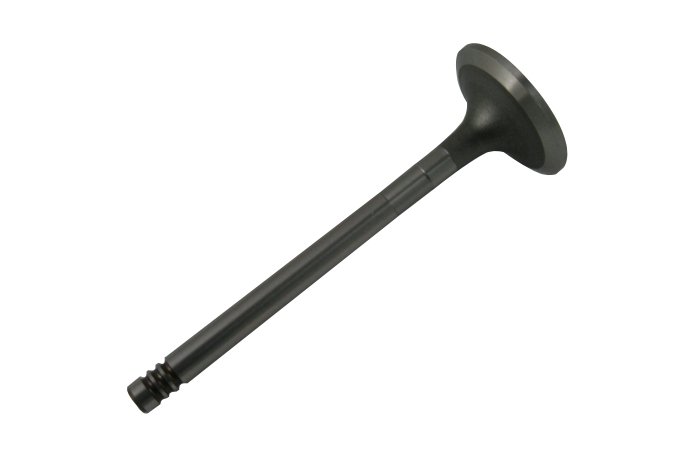 Zawór ssący 300 TDI