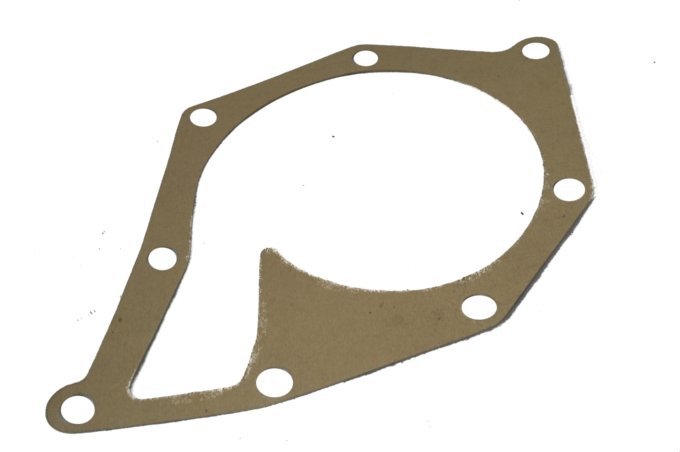 Uszczelka pompy wody 200 TDI Discovery / RR