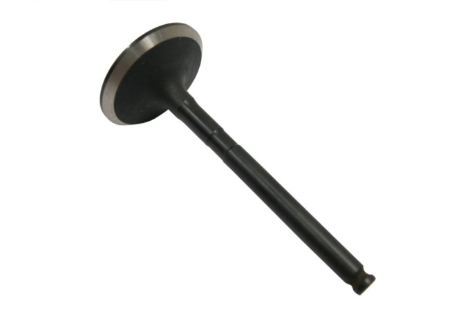 Zawór ssący 2,0 diesel TCIE Freelander