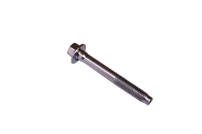 Śruba napinacza paska rozrządu tył 2,7 / 3,0 diesel Discovery 3 / Discovery 4 / Discovery 5 / RR L405 / RR Sport / RR Sport od 2010 / RR Sport od 2014 / RR Velar