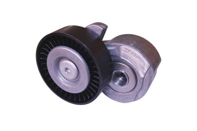 Napinacz paska głównego 3,2 benzyna Freelander 2