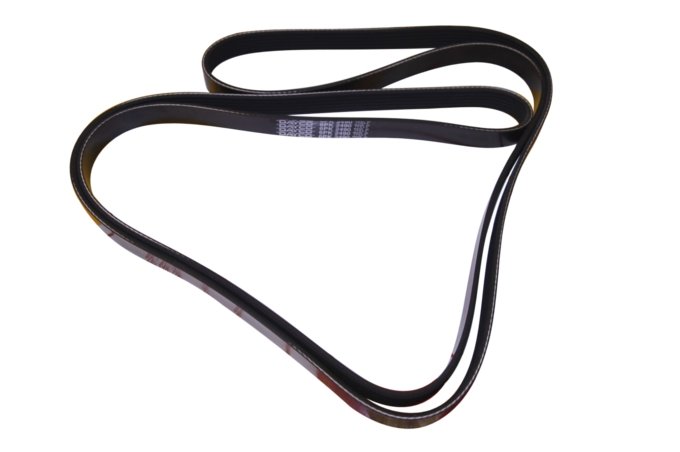 Pasek główny płaski benzyna 5,0 SC V8 RR Sport (primary)