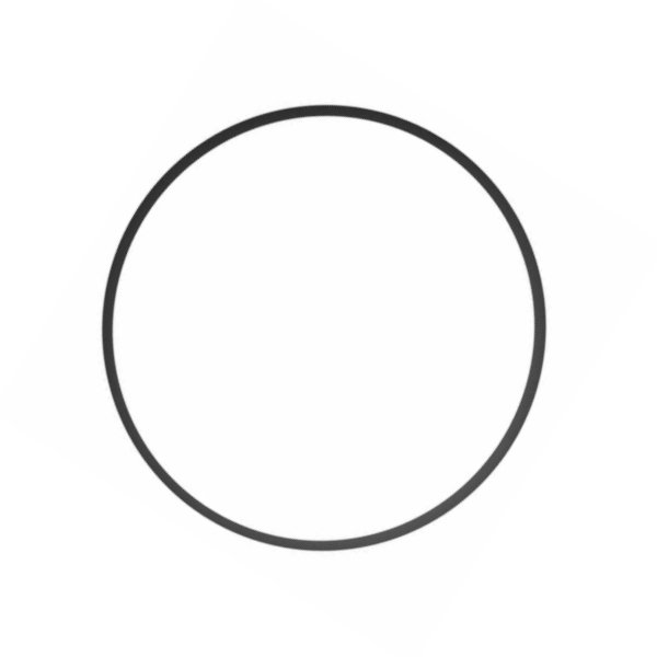 Oring przewodu wodnego termostat - blok silnika 2,0 AJ200P benzyna / 2,0 diesel Discovery Sport / RR Evoque / RR Evoque 2