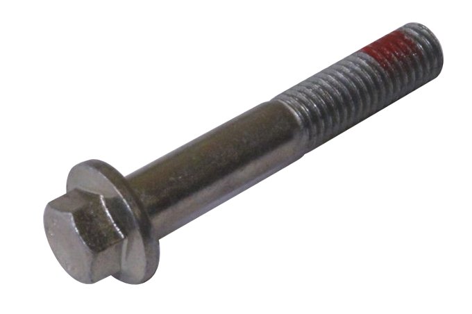 Śruba napinacza paska rozrządu Freelander benzyna 1,8 (z samonapinaczem)