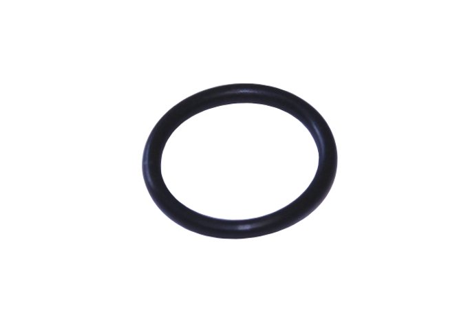 Uszczelka śruby pokrywy zaworów M62 4,4 V8 benzyna RR L322