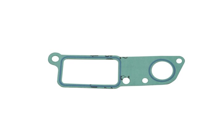 Uszczelka dolotowa kolektora ssącego Freelander 2,0 diesel TCIE